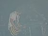 200468_1988852800036_1204801521_2603974_4866935_n.jpg